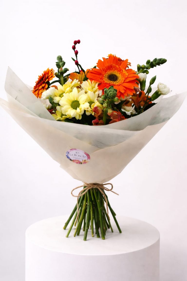 WhatsApp Image 2026 04 14 at 4.35.05 PM